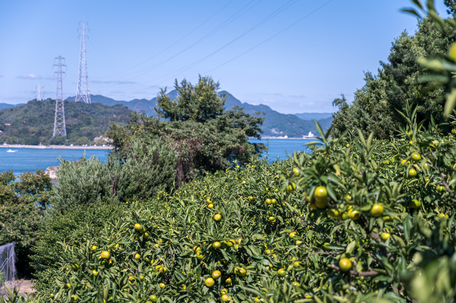 20201006gokuwase01.jpg