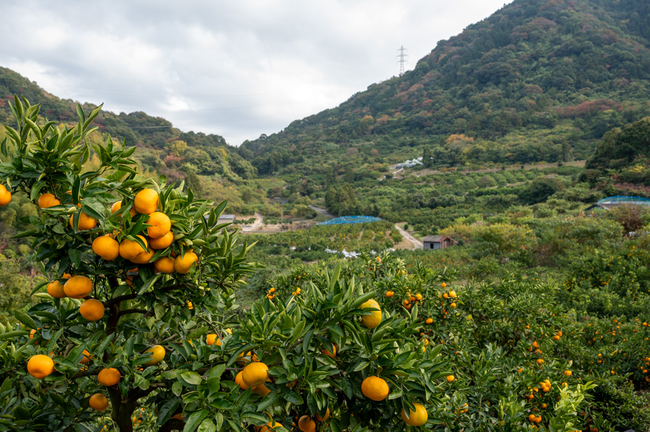 20201113gotanda-nakate.jpg