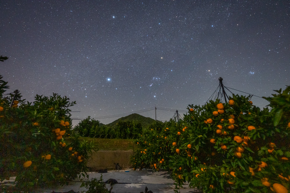 20201112nakate-orion-yoko.jpg