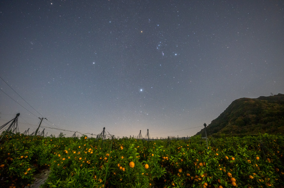 20201125harehime-orion.jpg