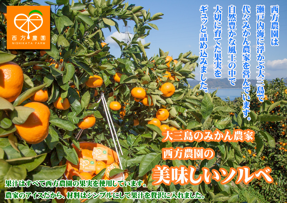 mikan-sorbet.jpg
